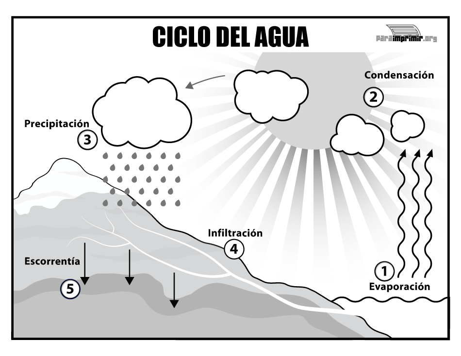 Ciclo-del-agua-para-imprimir.gif (950×734) | Ciclo del agua, Ciclo del agua dibujo, Actividades para preescolar Ciclo-del-agua-para-imprimir.gif (950×734) | Ciclo del agua, Ciclo del agua dibujo, Actividades para preescolar