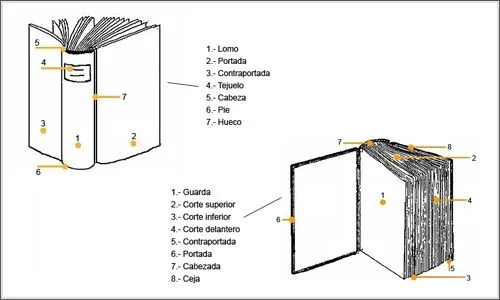 Ciclo Escolar: ¿Cuales son las partes de un libro?