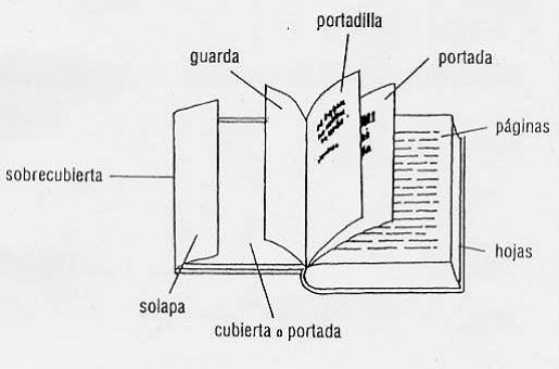 Ciclo Escolar: ¿Cuales son las partes de un libro?