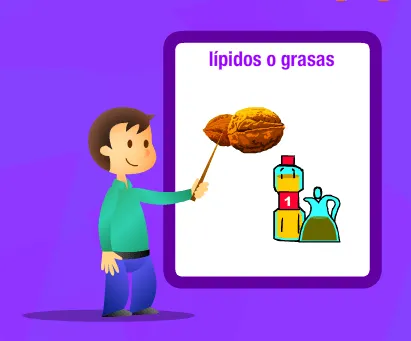 Ciclo Escolar: La nutrición - Explicación para niños.