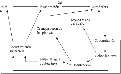 Ciclo del agua esquema - Imagui