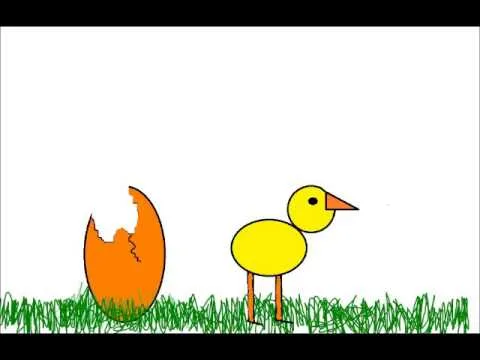 el ciclo del nacimiento del pollo - YouTube