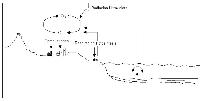 Ciclo de carbono para colorear - Imagui