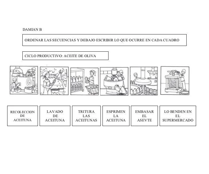 Ciclo Productivo Del Aceite De Oliva DAMIAN B