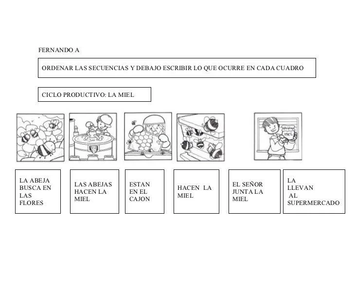 Ciclo Productivo De La Miel FERNANDO A
