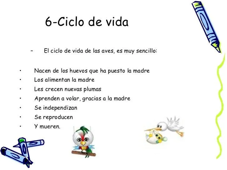 Ciclo de vida del colibri para niños de primero de primaria - Imagui