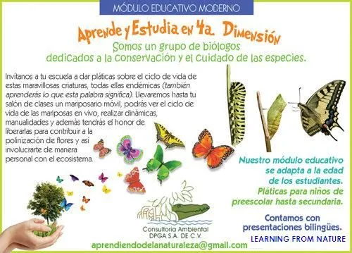 Explorador Turístico: PIDE UN DESEO... LIBERA MARIPOSAS