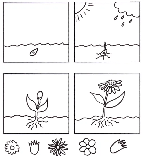 Ciclo de vida de las plantas para colorear - Tu Escuelita Ciclo de vida de las plantas para colorear - Tu Escuelita