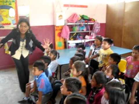 CICLO DE VIDA DEL POLLO _MMV - YouTube