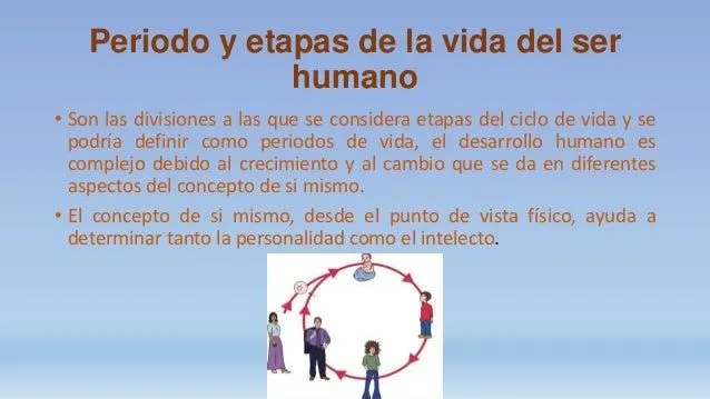 ciclo-vital-del-ser-humano- ...