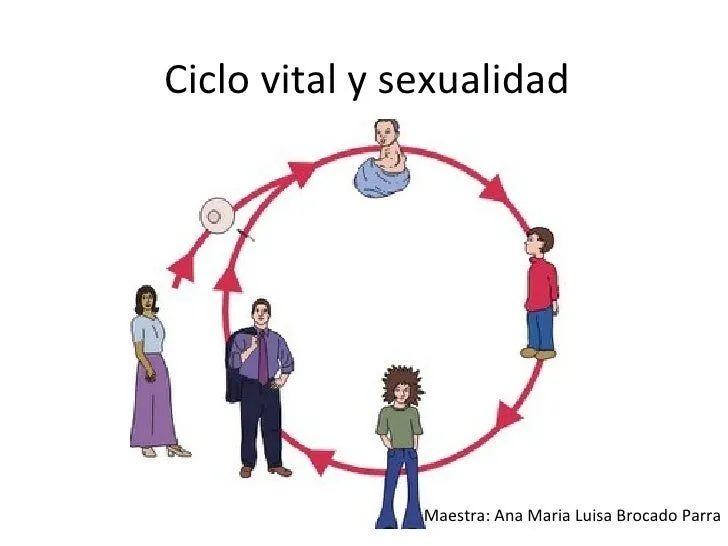 Ciclo vital y sexualidad