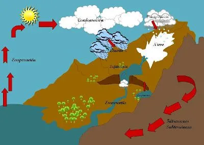 Ciclos Naturales: Ciclos del Agua