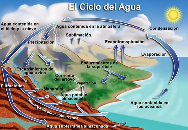 Ciclos de la Naturaleza Monografía : El Mundo y sus Plantas