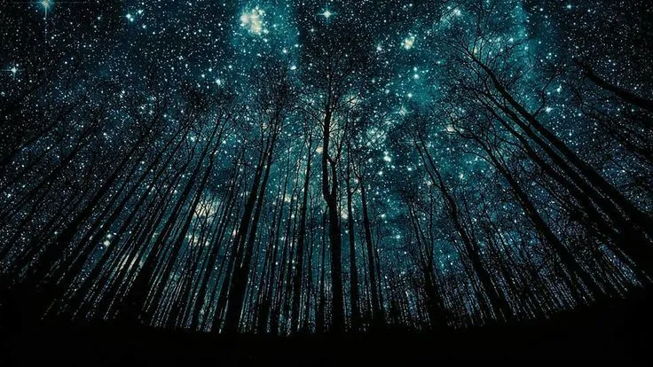 Cielo estrellado | Folklore | Pinterest