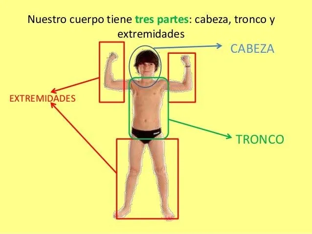 cienceunit-1-el-cuerpo-humano- ...