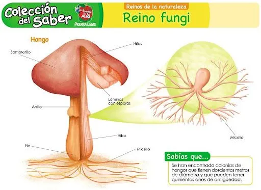 CIENCIA PARA TODOS