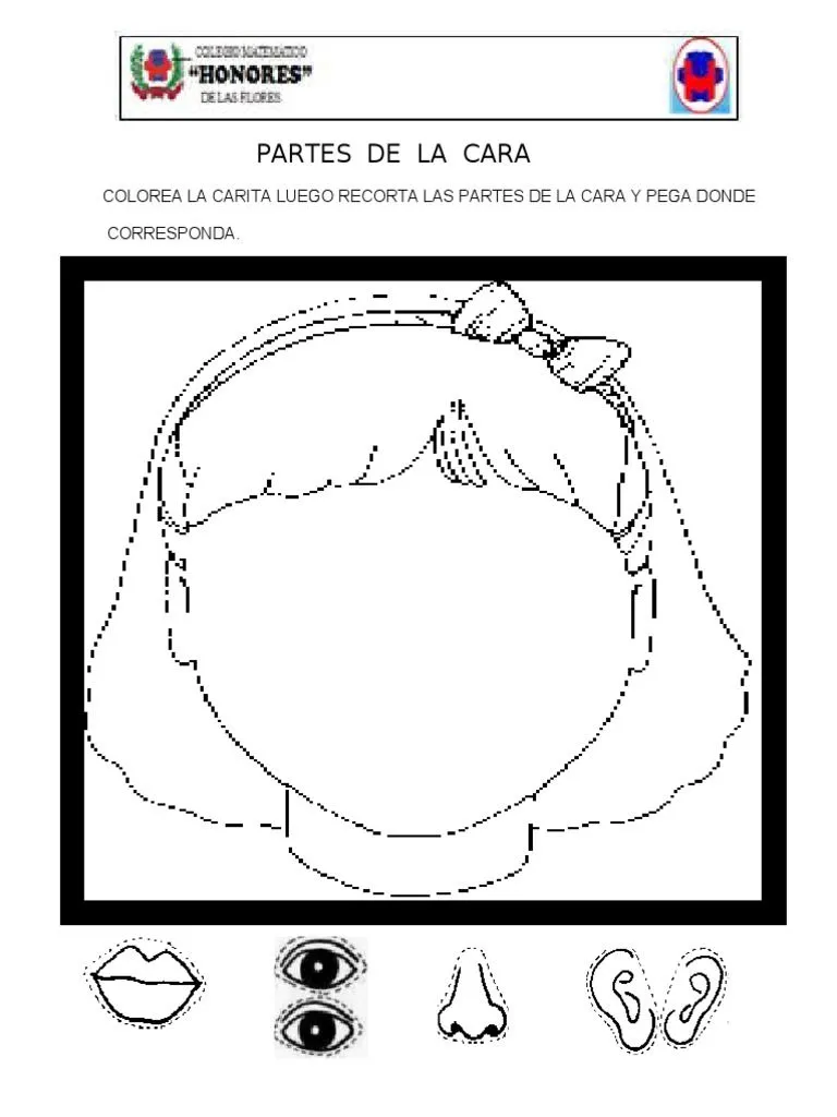 Ciencia y Ambiente Partes Del Cuerpo | PDF