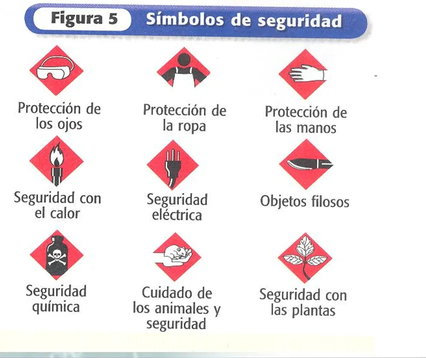 Ciencia Cuarto LMR: Seguridad en el laboratorio Ciencia Cuarto LMR: Seguridad en el laboratorio