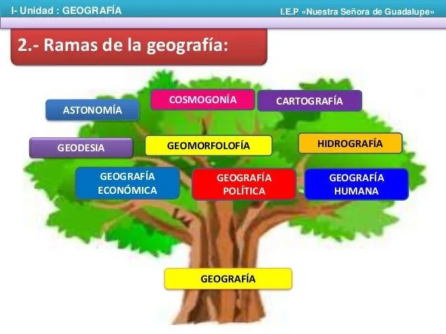 ciencia-geogrfica-4-638.jpg?cb ...