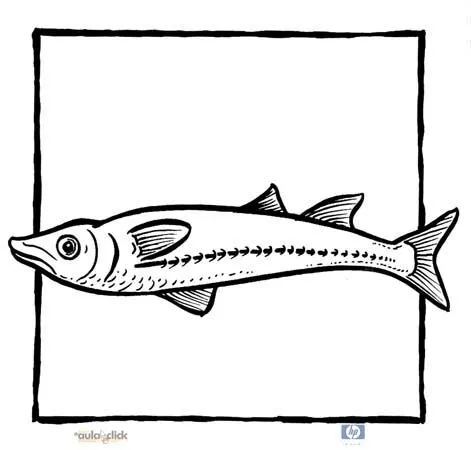 Para colorear de pescado bonito - Imagui