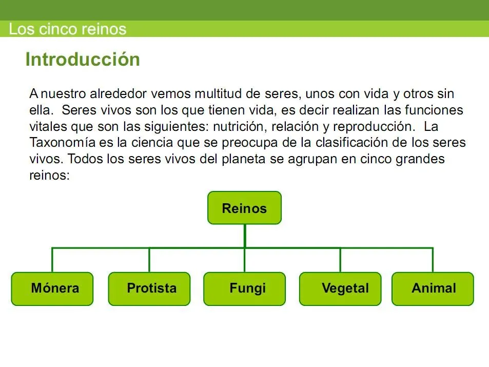 CIENCIA TECNOLOGÍA Y AMBIENTE: LOS CINCO REINOS CIENCIA TECNOLOGÍA Y AMBIENTE: LOS CINCO REINOS