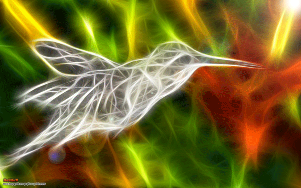 Ciencia Tecnología e Innovación : El Colibrí en cámara lenta