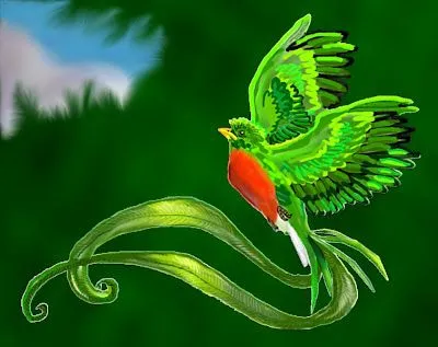 LA CIENCIA DE LA VIDA: ARTE &amp; ZOOLOGÍA (XI). QUETZAL