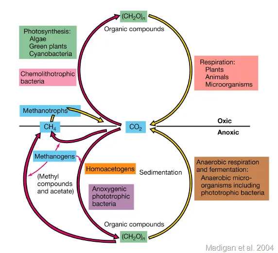 La ciencia de la vida, la biología UV » 2009 » mayo La ciencia de la vida, la biología UV » 2009 » mayo