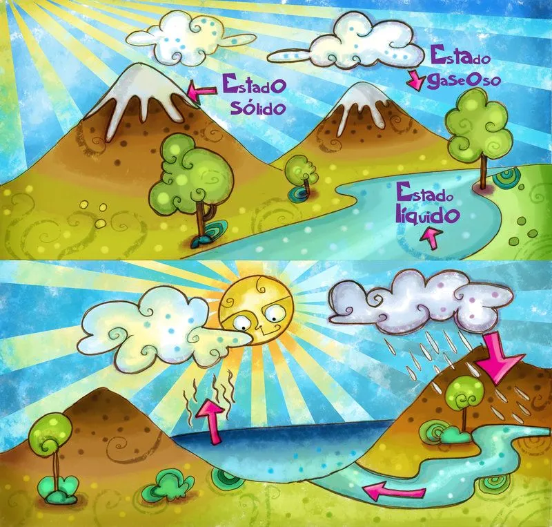 LA CIENCIA DE LA VIDA: Ciclo del agua [Material motivador]