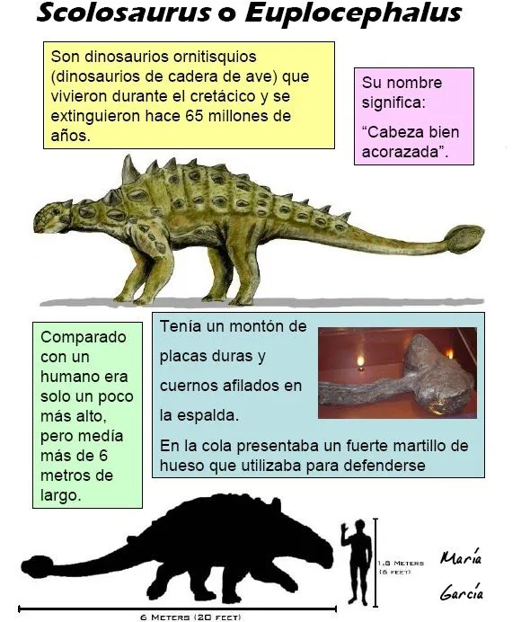 LA CIENCIA DE LA VIDA: DINOSAURIOS PARA NIÑOS LA CIENCIA DE LA VIDA: DINOSAURIOS PARA NIÑOS
