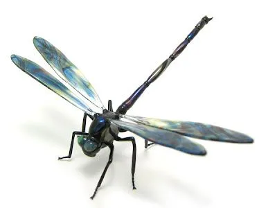 Libelula dibujo animado - Imagui