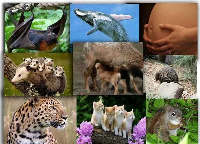 CIENCIAS EN ACCION: Sitios de interés