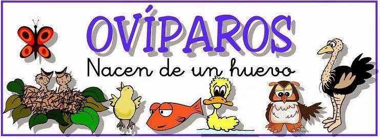 Ciencias animales ovíparos y viviparos