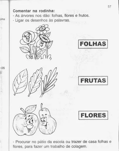 Ciências - Atividades sobre as plantas - Mundinho da Criança ... Ciências - Atividades sobre as plantas - Mundinho da Criança ...