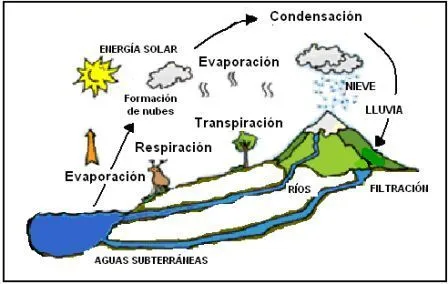 CIENCIAS BIOLOGICAS: LOS CICLOS BIOGEOQUIMICOS