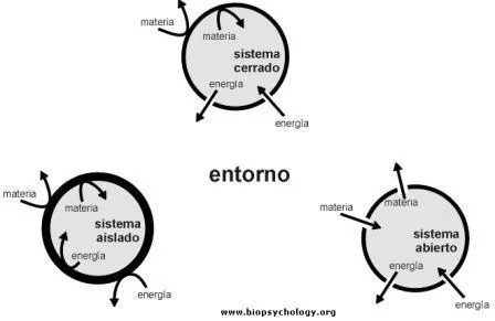 CIENCIAS BIOLOGICAS: SISTEMAS Y SUBSISTEMAS