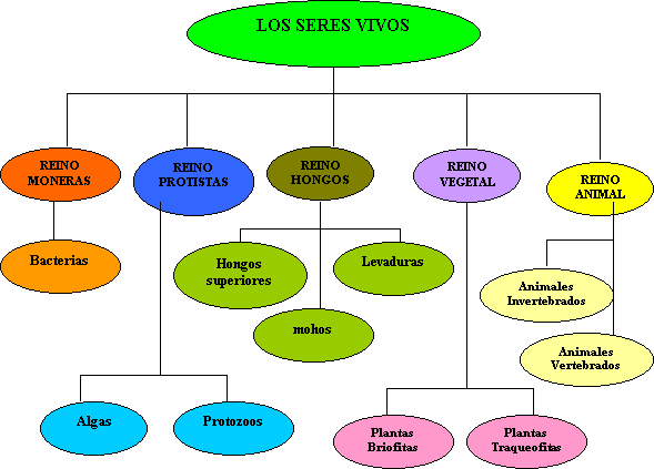 Ciencias Naturales