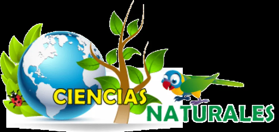 Acerca de | CIENCIAS NATURALES