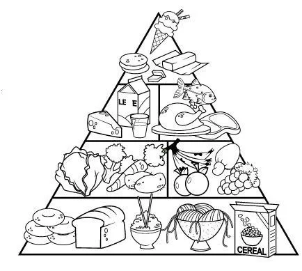 Ciencias naturales para colorear - Imagui