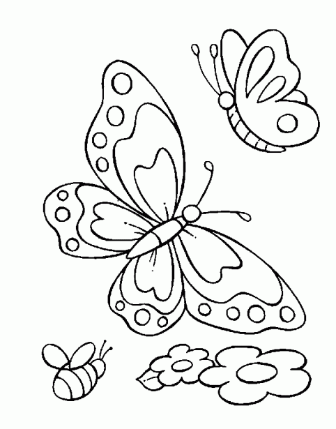 Ciencias Naturales; Los Seres Vivos: Dibujos para Colorear Ciencias Naturales; Los Seres Vivos: Dibujos para Colorear