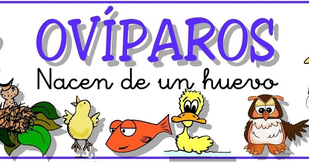 Ciencias naturales de cuarto grado de primaria: Animales ovíparos y vivíparos Ciencias naturales de cuarto grado de primaria: Animales ovíparos y vivíparos