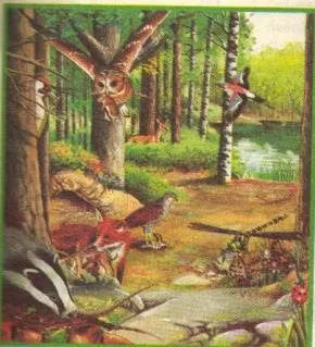 ciencias naturales: ECOSISTEMAS