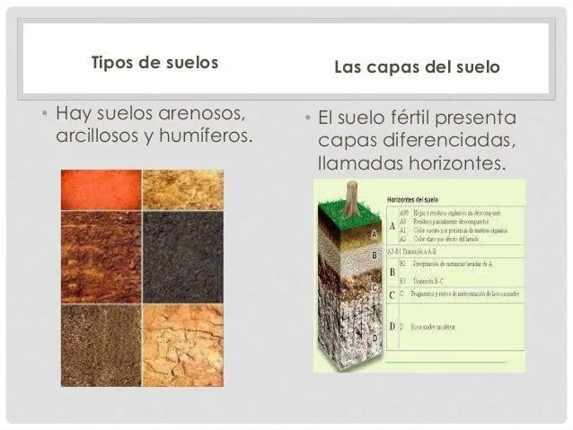 ciencias-naturales-el-suelo-5- ...