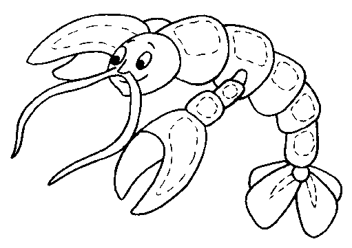 Ciencias Naturales; Los Seres Vivos: Dibujos para Colorear Ciencias Naturales; Los Seres Vivos: Dibujos para Colorear
