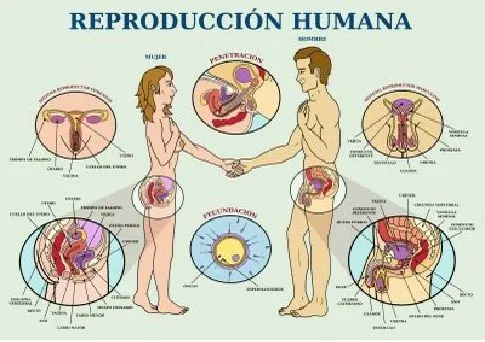 Ciencias Naturales y Tecnología: Segunda Unidad