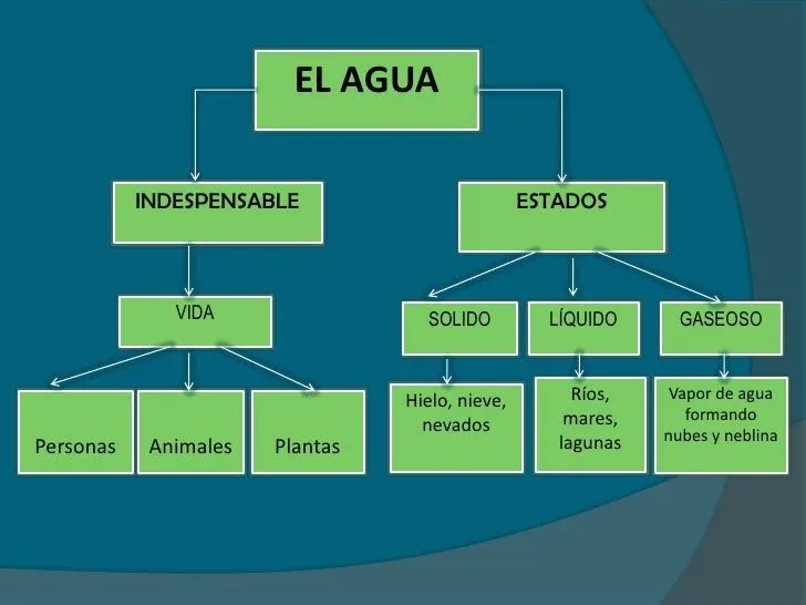 Ciencias naturalesñdd