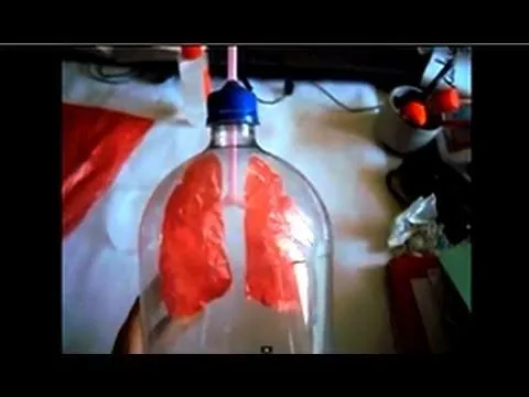 ciências on Pinterest | Solar, Wind Turbine and Ems