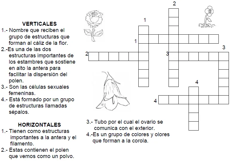 Las Ciencias Sociales: mayo 2014