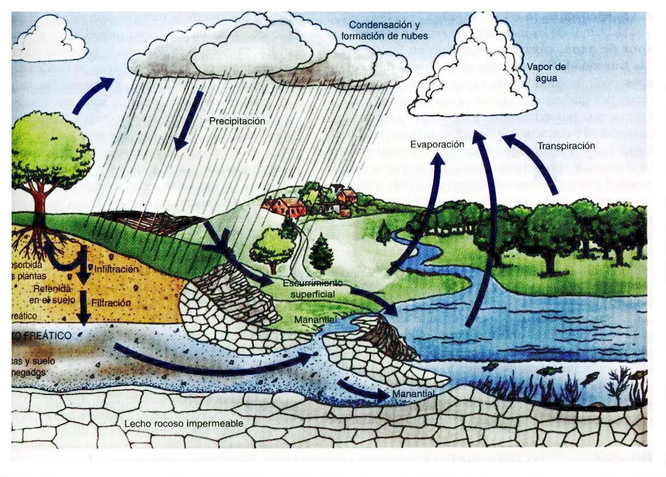 el ciclo hidrologico o ciclo del agua es el proceso de circulacion del ...