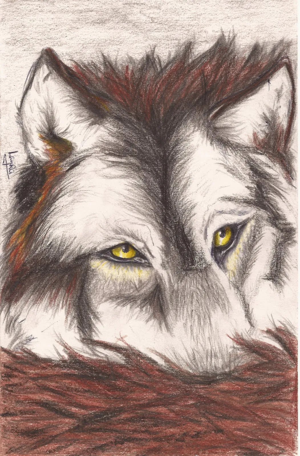 cienoliletras: NUESTROS ARTISTAS/ LOS DIBUJOS DE LAURA
